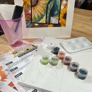 Home Painting Kit